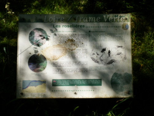 Saint Hilaire Saint Mesmin 21.jpg
