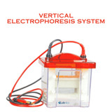 Vertical Electrophoresis System (1)