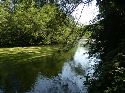 Saint Hilaire Saint Mesmin 7.jpg