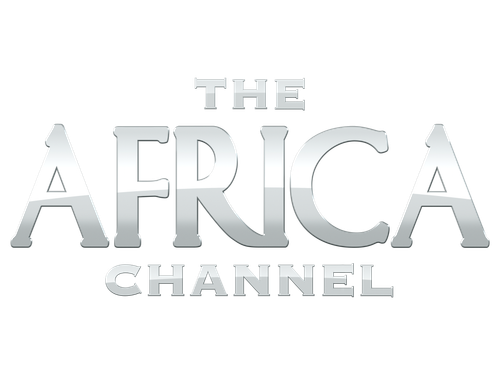 The Africa Channel.png