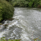Olivet Marche bords du Loiret 29