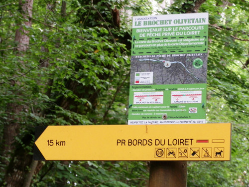 Olivet Marche bords du Loiret 37.jpg