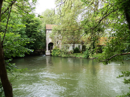 Olivet Marche bords du Loiret 36.jpg