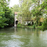Olivet Marche bords du Loiret 36