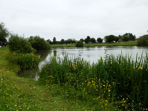 Olivet Marche bords du Loiret 40.jpg