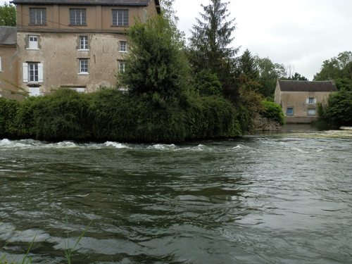 Olivet Marche bords du Loiret 44.jpg