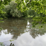 Olivet Marche bords du Loiret 11