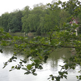 Olivet Marche bords du Loiret 6
