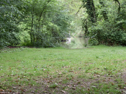 Olivet Marche bords du Loiret 7.jpg