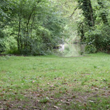Olivet Marche bords du Loiret 7