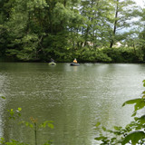 Olivet Marche bords du Loiret 19