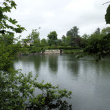 Olivet Marche bords du Loiret 51