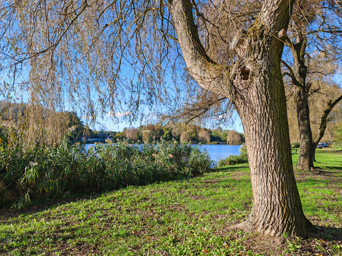 IMG 20231101 140456.jpg