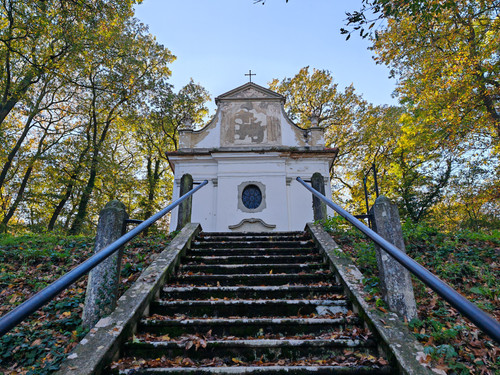 IMG 20231101 141651.jpg