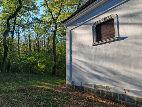 IMG 20231101 141745.jpg