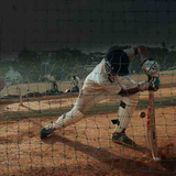 Online Cricket Betting.png