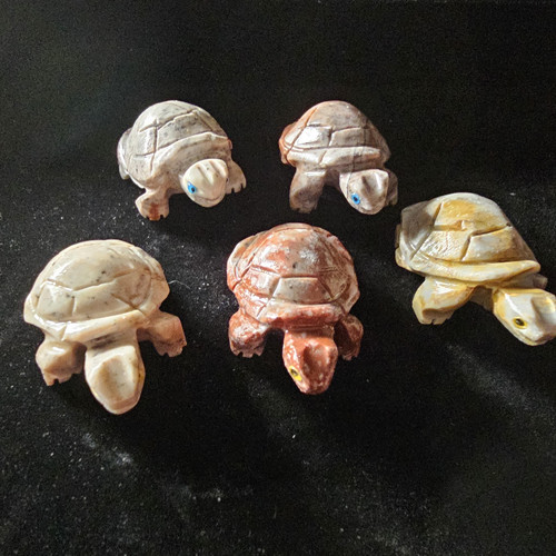 cropped 16989816602391837002603258435120.jpg