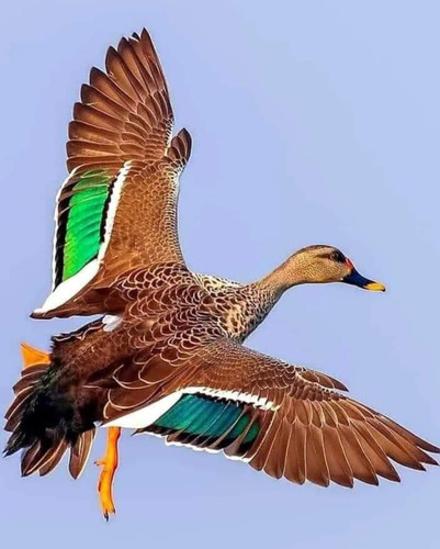 images%2Fimage 1699126674888.jpg