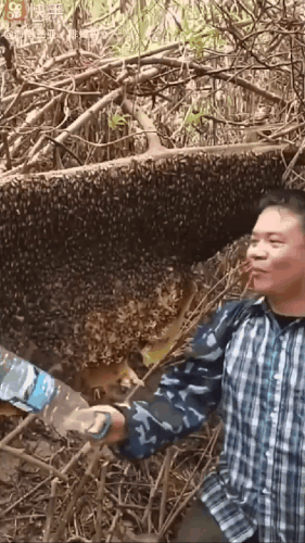 GIF 231102 133347.gif