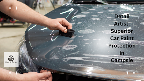 Detail Artist- Superior Car Paint Protection in Campsie.png