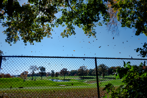 Aquarion North Stamford Resevoir 8.png