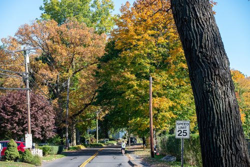 Aquarion North Stamford Resevoir 4.png