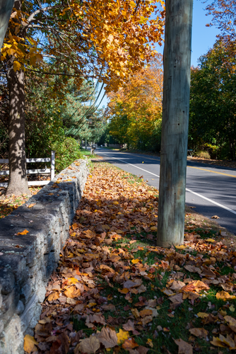 Aquarion North Stamford Resevoir 16.png