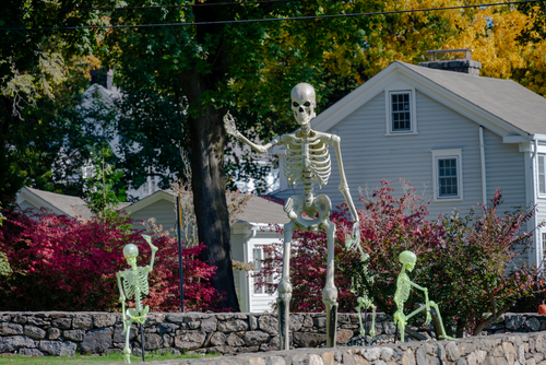 Aquarion North Stamford Resevoir 11.png