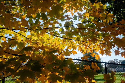 Aquarion North Stamford Resevoir 19.png