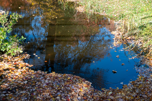 Aquarion North Stamford Resevoir 15.png