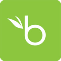 bamboohr logo.jpg