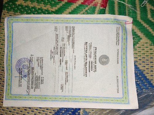 scaled e4e881e7 6f87 464a 86c7 8a77c5d6cefa8954581243700198022.jpg