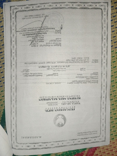 scaled c5ddb467 d272 48a3 b2c6 1d5e0a96e4163274536506511637379.jpg