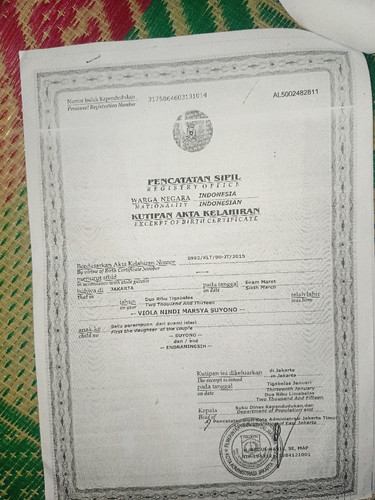 scaled 70e71d9a 5b65 4227 9b03 1368b575c4581047730033436755777.jpg