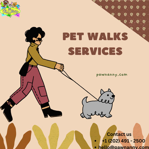 Pet Walking Service.png