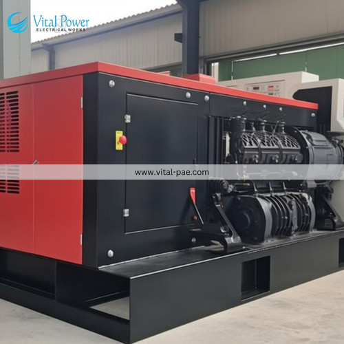 Vital Power Generator.jpg