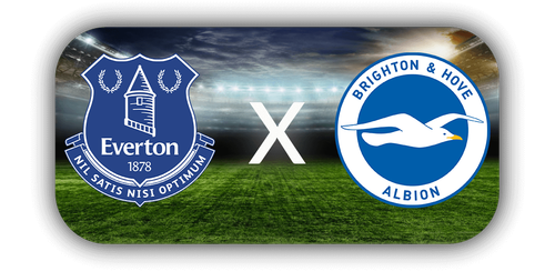 Brighton & Hove Albion.png