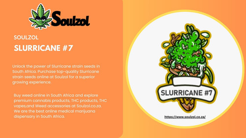 SLURRICANE #7.jpg