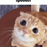 SpoodermanO7GIF (2).gif