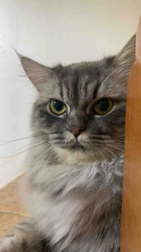 6AB67640 F962 4AD1 8D20 963601E4B380.jpg