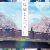 let me eat your pancreas vertical.jpg