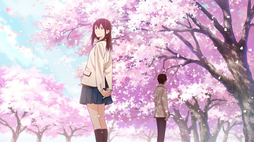 i want to eat your pancreas horizontal
