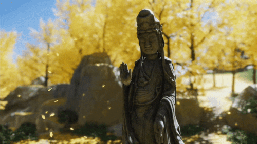 ezgif 5 18da19f311.gif