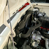 Opala (37)