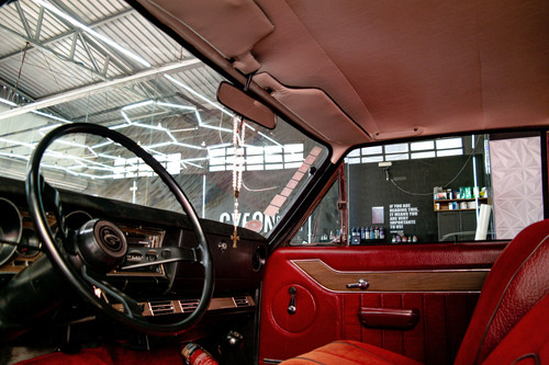 Opala (14).jpg