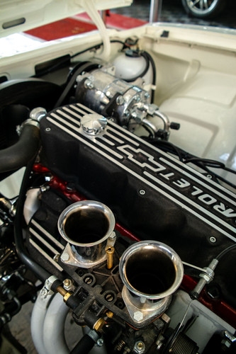 Opala (41).jpg