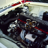 Opala (76)