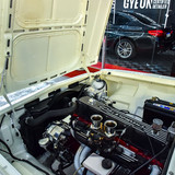 Opala (83)