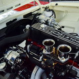Opala (81)