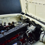 Opala (78)